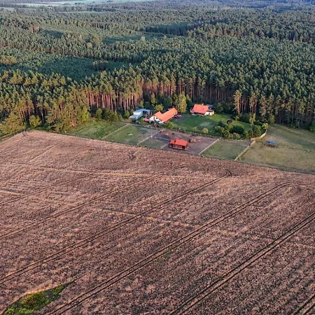 Na Skraju Puszczy *