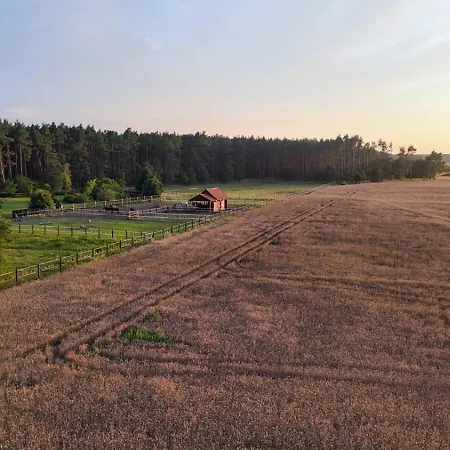 Na Skraju Puszczy * Ludomy