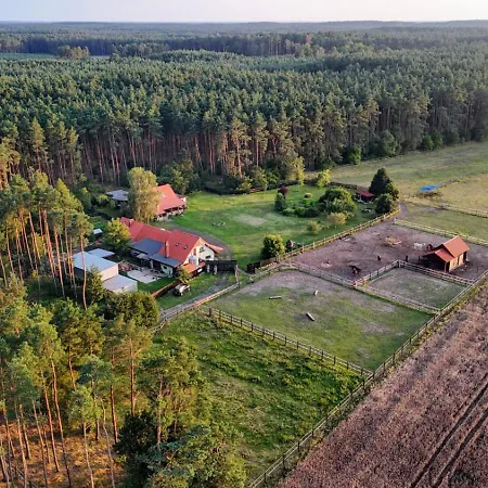 Na Skraju Puszczy *