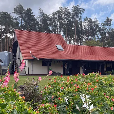 Na Skraju Puszczy Farm stay
