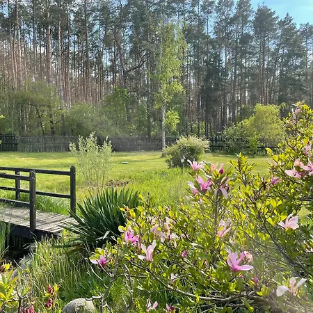 Na Skraju Puszczy * Ludomy