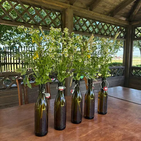 Farm stay Na Skraju Puszczy Ludomy