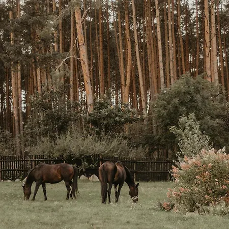 Gospodarstwo agroturystyczne Na Skraju Puszczy *