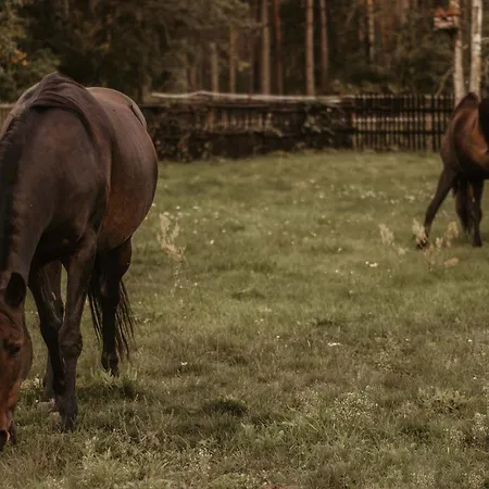 Farm stay Na Skraju Puszczy Ludomy