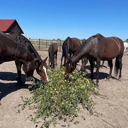 Na Skraju Puszczy Ludomy