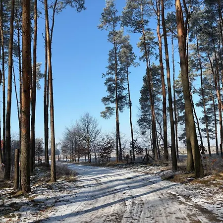 Фермерський будинок Na Skraju Puszczy