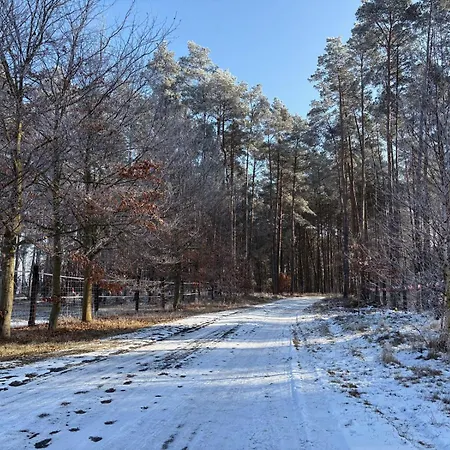 Na Skraju Puszczy Ludomy