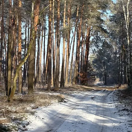 Na Skraju Puszczy Farm stay