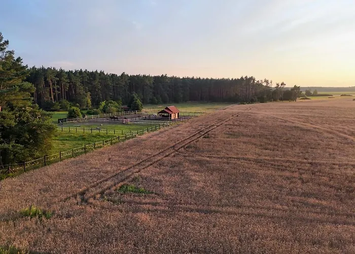 Na Skraju Puszczy * Ludomy