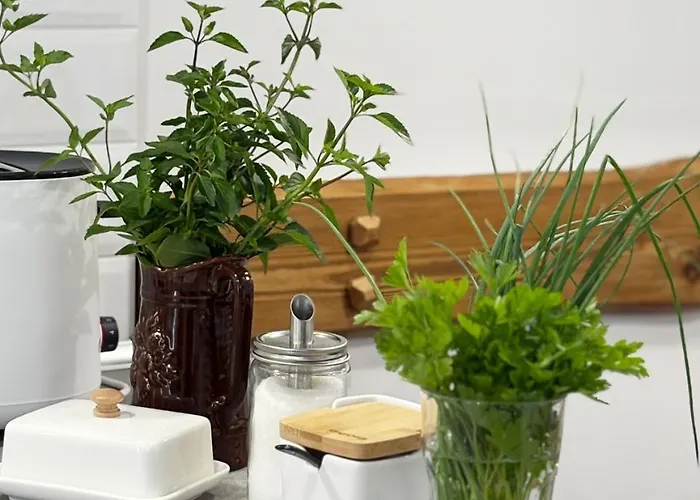 Bauernhof Na Skraju Puszczy