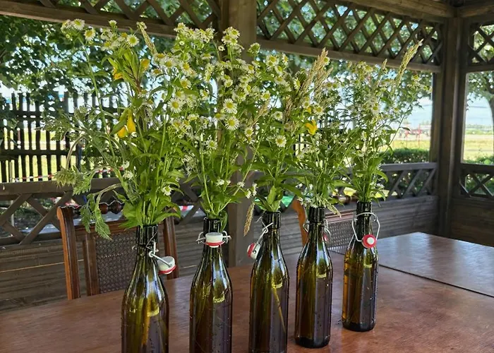 Gospodarstwo agroturystyczne Na Skraju Puszczy Ludomy