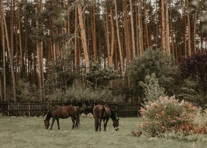 Gospodarstwo agroturystyczne Na Skraju Puszczy *