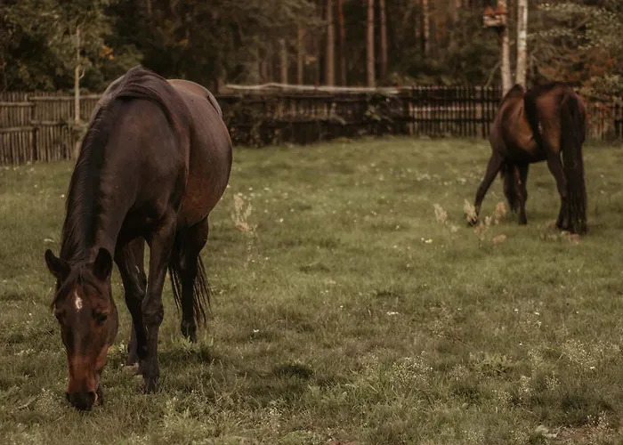 Bauernhof Na Skraju Puszczy Ludomy