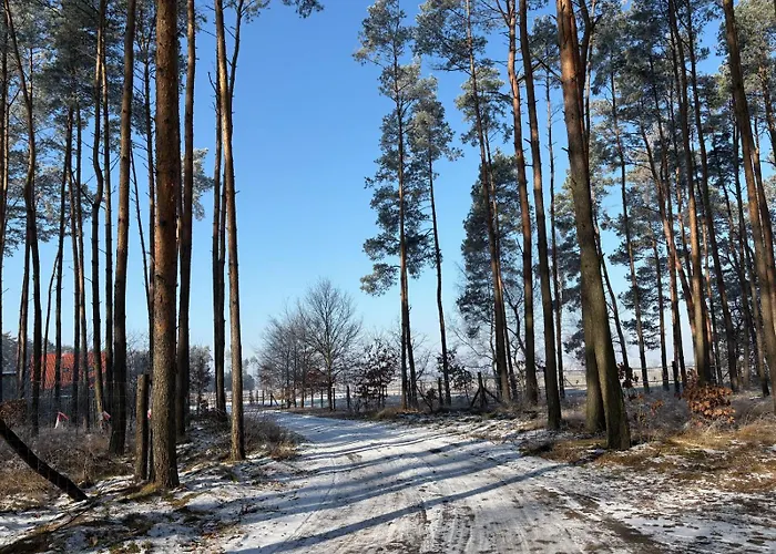 Bauernhof Na Skraju Puszczy