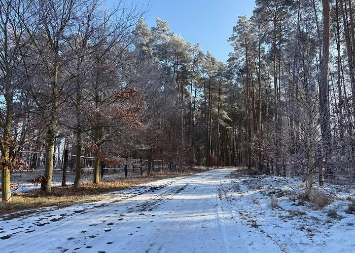 Na Skraju Puszczy Ludomy
