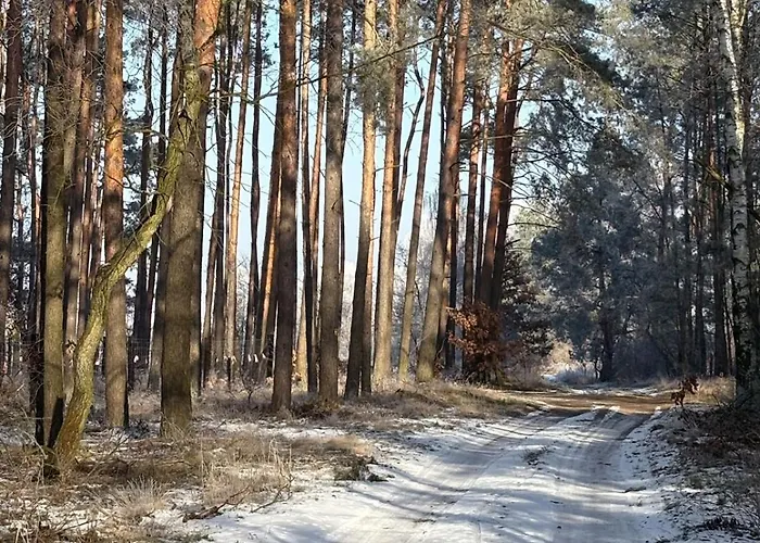 Na Skraju Puszczy Gospodarstwo agroturystyczne